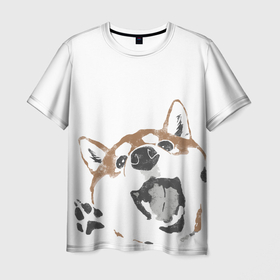 Мужская футболка 3D с принтом Shiba Inu , 100% полиэфир | прямой крой, круглый вырез горловины, длина до линии бедер | shiba inu | сиба ину | собака