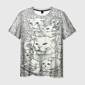 Мужская футболка 3D с принтом Коты мемы кошки в Кировске, 100% полиэфир | прямой крой, круглый вырез горловины, длина до линии бедер | Тематика изображения на принте: киса | киска | коты | кошечки | кошка | кошки | мем | мем кот и девушки | мем с котом | мем с кошкой | мемы