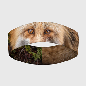 Повязка на голову 3D с принтом Лиса в Тюмени,  |  | fox | foxy | животное | звери | лиса | лисенок | лисичка | милая | рыжая | фокс