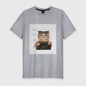 Мужская футболка хлопок Slim с принтом Арестованный кот в Новосибирске, 92% хлопок, 8% лайкра | приталенный силуэт, круглый вырез ворота, длина до линии бедра, короткий рукав | арестованный | кот | лапки | очки | преступник | табличка | усы
