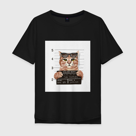 Мужская футболка хлопок Oversize с принтом Арестованный кот в Екатеринбурге, 100% хлопок | свободный крой, круглый ворот, “спинка” длиннее передней части | арестованный | кот | лапки | очки | преступник | табличка | усы