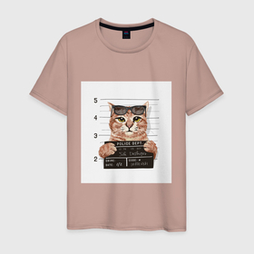 Мужская футболка хлопок с принтом Арестованный кот в Белгороде, 100% хлопок | прямой крой, круглый вырез горловины, длина до линии бедер, слегка спущенное плечо. | арестованный | кот | лапки | очки | преступник | табличка | усы