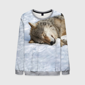 Мужской свитшот 3D с принтом Спящий Волк в Новосибирске, 100% полиэстер с мягким внутренним слоем | круглый вырез горловины, мягкая резинка на манжетах и поясе, свободная посадка по фигуре | animals | wolf | волк | волки | животные | звери | зверь | одиночество | одиночка | пёс | собака | спящий волк