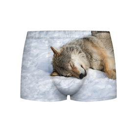 Мужские трусы 3D с принтом Спящий Волк в Санкт-Петербурге, 50% хлопок, 50% полиэстер | классическая посадка, на поясе мягкая тканевая резинка | Тематика изображения на принте: animals | wolf | волк | волки | животные | звери | зверь | одиночество | одиночка | пёс | собака | спящий волк
