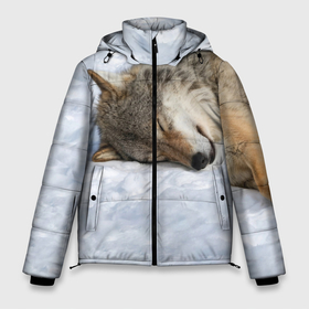 Мужская зимняя куртка 3D с принтом Спящий Волк в Новосибирске, верх — 100% полиэстер; подкладка — 100% полиэстер; утеплитель — 100% полиэстер | длина ниже бедра, свободный силуэт Оверсайз. Есть воротник-стойка, отстегивающийся капюшон и ветрозащитная планка. 

Боковые карманы с листочкой на кнопках и внутренний карман на молнии. | animals | wolf | волк | волки | животные | звери | зверь | одиночество | одиночка | пёс | собака | спящий волк