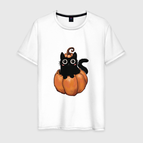 Мужская футболка хлопок с принтом Кот в тыкве в Петрозаводске, 100% хлопок | прямой крой, круглый вырез горловины, длина до линии бедер, слегка спущенное плечо. | котик в тыкве | кошка | милый котенок | тыква | хеллоуин | черный кот