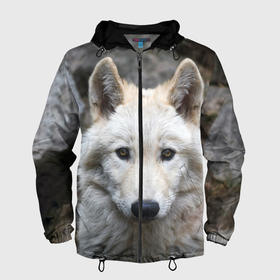 Мужская ветровка 3D с принтом Волк в Новосибирске, 100% полиэстер | подол и капюшон оформлены резинкой с фиксаторами, два кармана без застежек по бокам, один потайной карман на груди | animals | wolf | волк | волки | животные | звери | зверь | луна | одиночество | одиночка | пёс | собака