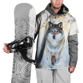 Накидка на куртку 3D с принтом Я зимой в Санкт-Петербурге, 100% полиэстер |  | animals | wolf | волк | волки | животные | звери | зверь | луна | одиночество | одиночка | пёс | собака