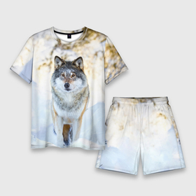 Мужской костюм с шортами 3D с принтом Я зимой ,  |  | animals | wolf | волк | волки | животные | звери | зверь | луна | одиночество | одиночка | пёс | собака