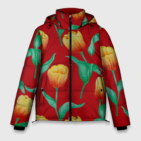 Мужская зимняя куртка 3D с принтом Тюльпаны на красном фоне в Белгороде, верх — 100% полиэстер; подкладка — 100% полиэстер; утеплитель — 100% полиэстер | длина ниже бедра, свободный силуэт Оверсайз. Есть воротник-стойка, отстегивающийся капюшон и ветрозащитная планка. 

Боковые карманы с листочкой на кнопках и внутренний карман на молнии. | 8 марта | flowers | summer | ботаническая иллюстрация | весна | желтый | зеленый | красный | лето | любовь | праздник | принт | природа | растения | тюльпаны | цветы