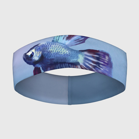 Повязка на голову 3D с принтом Рыбка в Тюмени,  |  | tegunvteg | акварель | аквариумнаярыбка | вода | петушок | рыбка