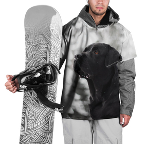 Накидка на куртку 3D с принтом Лабрадор Марк , 100% полиэстер |  | Тематика изображения на принте: dog | winter | животные | зима | лабрадор | лабрадор ретривер | снег | собака