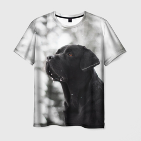 Мужская футболка 3D с принтом Лабрадор Марк в Белгороде, 100% полиэфир | прямой крой, круглый вырез горловины, длина до линии бедер | dog | winter | животные | зима | лабрадор | лабрадор ретривер | снег | собака