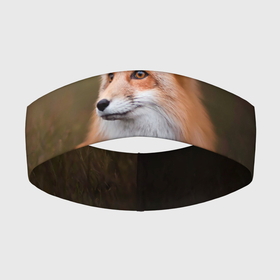 Повязка на голову 3D с принтом Лиса охотница в Тюмени,  |  | fox | foxy | животное | звери | лиса | лисенок | лисичка | милая | рыжая | фокс