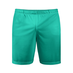 Мужские шорты спортивные с принтом Бискайский зеленый без рисунка в Курске,  |  | 2020 года | biscay | biscay green | panton vesna | pantone | бирюзовый | бискайский залив | бискайский зеленый | весна лето | зеленый | модные цвета | цвет 2020 года