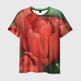 Мужская футболка 3D с принтом Красные тюльпаны в Екатеринбурге, 100% полиэфир | прямой крой, круглый вырез горловины, длина до линии бедер | 