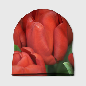 Шапка 3D с принтом Красные тюльпаны в Санкт-Петербурге, 100% полиэстер | универсальный размер, печать по всей поверхности изделия | 