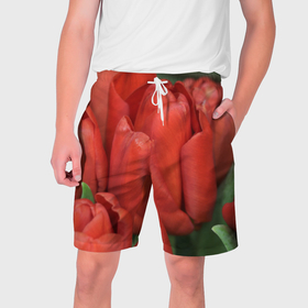 Мужские шорты 3D с принтом Красные тюльпаны в Белгороде,  полиэстер 100% | прямой крой, два кармана без застежек по бокам. Мягкая трикотажная резинка на поясе, внутри которой широкие завязки. Длина чуть выше колен | 