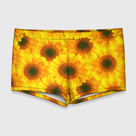 Мужские купальные плавки 3D с принтом Принт подсолнухи желтый в Курске, Полиэстер 85%, Спандекс 15% |  | Тематика изображения на принте: желтый | лето | подсолнухи | солнце | цветение | цветы