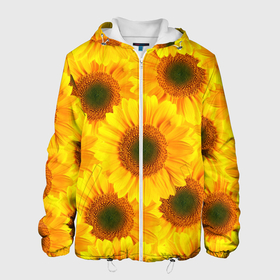 Мужская куртка 3D с принтом Принт подсолнухи желтый в Новосибирске, ткань верха — 100% полиэстер, подклад — флис | прямой крой, подол и капюшон оформлены резинкой с фиксаторами, два кармана без застежек по бокам, один большой потайной карман на груди. Карман на груди застегивается на липучку | желтый | лето | подсолнухи | солнце | цветение | цветы