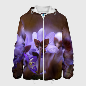 Мужская куртка 3D с принтом хрупкий цветок фиалка в Новосибирске, ткань верха — 100% полиэстер, подклад — флис | прямой крой, подол и капюшон оформлены резинкой с фиксаторами, два кармана без застежек по бокам, один большой потайной карман на груди. Карман на груди застегивается на липучку | flowers | весна | лиловый | макро | нежный | природа | рост | свежесть | сиреневый | фиолетовый | хрупкий | цветик | цветок | цветочек | цветы