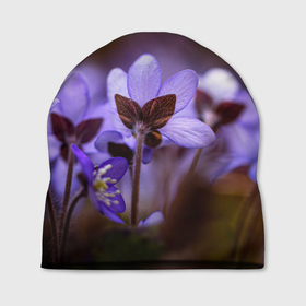 Шапка 3D с принтом хрупкий цветок фиалка в Новосибирске, 100% полиэстер | универсальный размер, печать по всей поверхности изделия | flowers | весна | лиловый | макро | нежный | природа | рост | свежесть | сиреневый | фиолетовый | хрупкий | цветик | цветок | цветочек | цветы