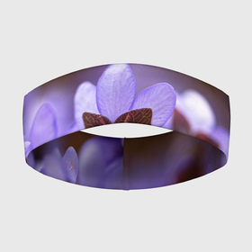 Повязка на голову 3D с принтом хрупкий цветок фиалка ,  |  | flowers | весна | лиловый | макро | нежный | природа | рост | свежесть | сиреневый | фиолетовый | хрупкий | цветик | цветок | цветочек | цветы