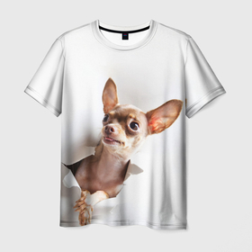 Мужская футболка 3D с принтом Чихуахуа из бумаги вылазит в Новосибирске, 100% полиэфир | прямой крой, круглый вырез горловины, длина до линии бедер | гав | любитель собак | меленьктй пес | мини пес | песель | песик | собака | собачка | собачник | собачница | чихуахуа | чихуашка | щенек