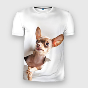 Мужская футболка 3D спортивная с принтом Чихуахуа из бумаги вылазит в Новосибирске, 100% полиэстер с улучшенными характеристиками | приталенный силуэт, круглая горловина, широкие плечи, сужается к линии бедра | гав | любитель собак | меленьктй пес | мини пес | песель | песик | собака | собачка | собачник | собачница | чихуахуа | чихуашка | щенек