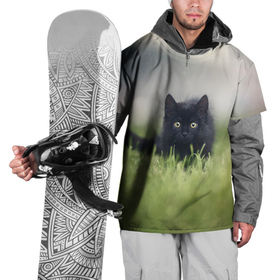 Накидка на куртку 3D с принтом черный кот на лугу в Тюмени, 100% полиэстер |  | взгляд | внутренний | глаза | животные | звери | зверь | кот | котейка | котик | коты | котэ | кошки | лапы | нос | образ | прыжок | смотрит в душу | усы | уши | черный | черныш | шерсть