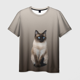 Мужская футболка 3D с принтом Сиамский кот голубые глаза , 100% полиэфир | прямой крой, круглый вырез горловины, длина до линии бедер | Тематика изображения на принте: арт | бежевый | градиент | киса | коричневый | кот | котейка | котенок | котик | котэ | кошка | реализм | сиамец | сиамский