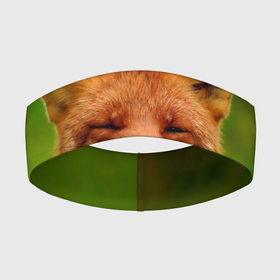 Повязка на голову 3D с принтом Лисица в Тюмени,  |  | fox | foxy | животное | звери | лиса | лисенок | лисичка | милая | рыжая | фокс