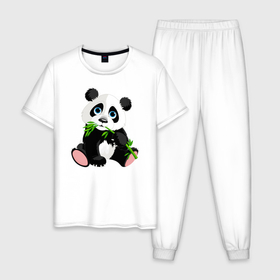 Мужская пижама хлопок с принтом Животные в Петрозаводске, 100% хлопок | брюки и футболка прямого кроя, без карманов, на брюках мягкая резинка на поясе и по низу штанин
 | бамбук | зверь | медвежонок | мишка | панда