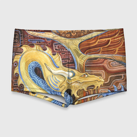 Мужские купальные плавки 3D с принтом узорчатый дракон в Петрозаводске, Полиэстер 85%, Спандекс 15% |  | Тематика изображения на принте: дракон | орнамент | узор