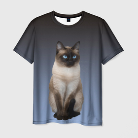 Мужская футболка 3D с принтом сиамская милая кошечка , 100% полиэфир | прямой крой, круглый вырез горловины, длина до линии бедер | cat | kitten | голубые глаза | градиент | кот | котейка | котик | кошечка | кошка | милая | мяу | сиамская | сиамский