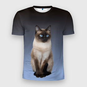 Мужская футболка 3D Slim с принтом сиамская милая кошечка в Тюмени, 100% полиэстер с улучшенными характеристиками | приталенный силуэт, круглая горловина, широкие плечи, сужается к линии бедра | Тематика изображения на принте: cat | kitten | голубые глаза | градиент | кот | котейка | котик | кошечка | кошка | милая | мяу | сиамская | сиамский