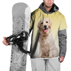 Накидка на куртку 3D с принтом Лабрадор ретривер пес в Тюмени, 100% полиэстер |  | домашние любимцы | друг | животные | золотистый ретривер | лабрадор | пес | питомец | породистый | собака