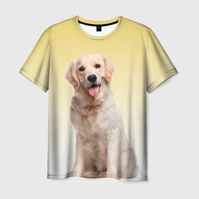 Мужская футболка 3D с принтом Лабрадор ретривер пес в Новосибирске, 100% полиэфир | прямой крой, круглый вырез горловины, длина до линии бедер | Тематика изображения на принте: домашние любимцы | друг | животные | золотистый ретривер | лабрадор | пес | питомец | породистый | собака
