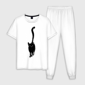 Мужская пижама хлопок с принтом черный кот тушью в Новосибирске, 100% хлопок | брюки и футболка прямого кроя, без карманов, на брюках мягкая резинка на поясе и по низу штанин
 | длинный | домашние любимцы | друг | животные | кот | котик | краска | питомец | рисунок | трубой | тушь | хвост | черный