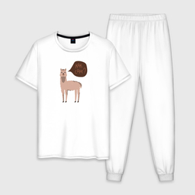 Мужская пижама хлопок с принтом Лама с вопросом в Кировске, 100% хлопок | брюки и футболка прямого кроя, без карманов, на брюках мягкая резинка на поясе и по низу штанин
 | альпака | животное | лама