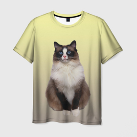Мужская футболка 3D с принтом персидская пушистая кошка в Кировске, 100% полиэфир | прямой крой, круглый вырез горловины, длина до линии бедер | ветеринар | градиент | домашний питомец | котейка | котик | коты | котэ | кошатник | кошатница | кошачьи | кошки | любитель животных | мяу | нэко | персидская | сиамская | смесь | шаблон