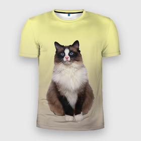 Мужская футболка 3D спортивная с принтом персидская пушистая кошка в Тюмени, 100% полиэстер с улучшенными характеристиками | приталенный силуэт, круглая горловина, широкие плечи, сужается к линии бедра | Тематика изображения на принте: ветеринар | градиент | домашний питомец | котейка | котик | коты | котэ | кошатник | кошатница | кошачьи | кошки | любитель животных | мяу | нэко | персидская | сиамская | смесь | шаблон