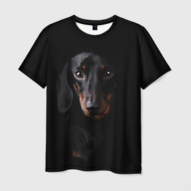 Мужская футболка 3D с принтом ТАКСА в Кировске, 100% полиэфир | прямой крой, круглый вырез горловины, длина до линии бедер | animal | black | dog | photo | глаза | домашние | животные | звери | пес | собакен | собаки | такса | черный