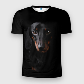 Мужская футболка 3D спортивная с принтом ТАКСА в Кировске, 100% полиэстер с улучшенными характеристиками | приталенный силуэт, круглая горловина, широкие плечи, сужается к линии бедра | animal | black | dog | photo | глаза | домашние | животные | звери | пес | собакен | собаки | такса | черный