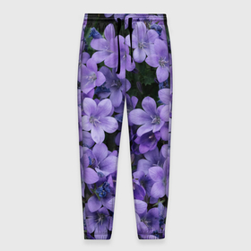 Мужские брюки 3D с принтом Фиолетовый цвет весны в Новосибирске, 100% полиэстер | манжеты по низу, эластичный пояс регулируется шнурком, по бокам два кармана без застежек, внутренняя часть кармана из мелкой сетки | art | casual | весенний | весна | градиент | зелень | растения | структура | текстура | цветы