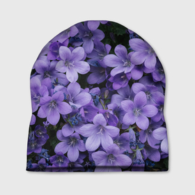 Шапка 3D с принтом Фиолетовый цвет весны в Кировске, 100% полиэстер | универсальный размер, печать по всей поверхности изделия | Тематика изображения на принте: art | casual | весенний | весна | градиент | зелень | растения | структура | текстура | цветы