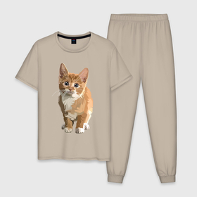 Мужская пижама хлопок с принтом Котик в Новосибирске, 100% хлопок | брюки и футболка прямого кроя, без карманов, на брюках мягкая резинка на поясе и по низу штанин
 | cat | кот | котенок | котэ | рыжий котик