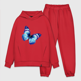 Мужской костюм хлопок OVERSIZE с принтом Синяя бабочка в Тюмени,  |  | бабочка | крылья | мотылек | насекомое | полет | рисунок | синий