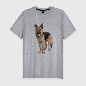Мужская футболка хлопок Slim с принтом немецкая овчарка в Белгороде, 92% хлопок, 8% лайкра | приталенный силуэт, круглый вырез ворота, длина до линии бедра, короткий рукав | гав | друг | немецкая овчарка | овчарка | пес | питомец | рисунок | собака | собачка