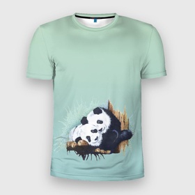 Мужская футболка 3D спортивная с принтом акварельные панды в Кировске, 100% полиэстер с улучшенными характеристиками | приталенный силуэт, круглая горловина, широкие плечи, сужается к линии бедра | акварель | двое | животные | звери | мило | мишки | обнимашки | панды | пара | природа | рисунок